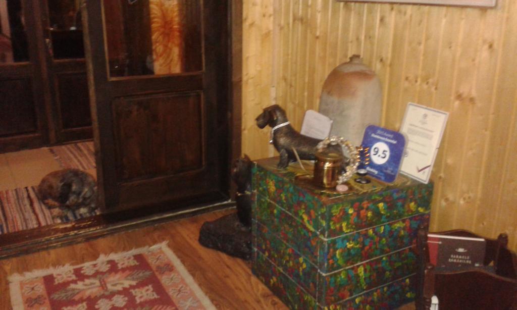 Dumbrava Soarelui Hotel Braşov Buitenkant foto
