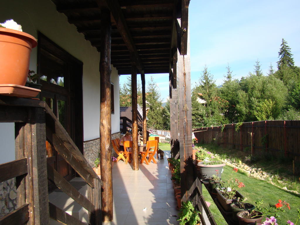 Dumbrava Soarelui Hotel Braşov Buitenkant foto