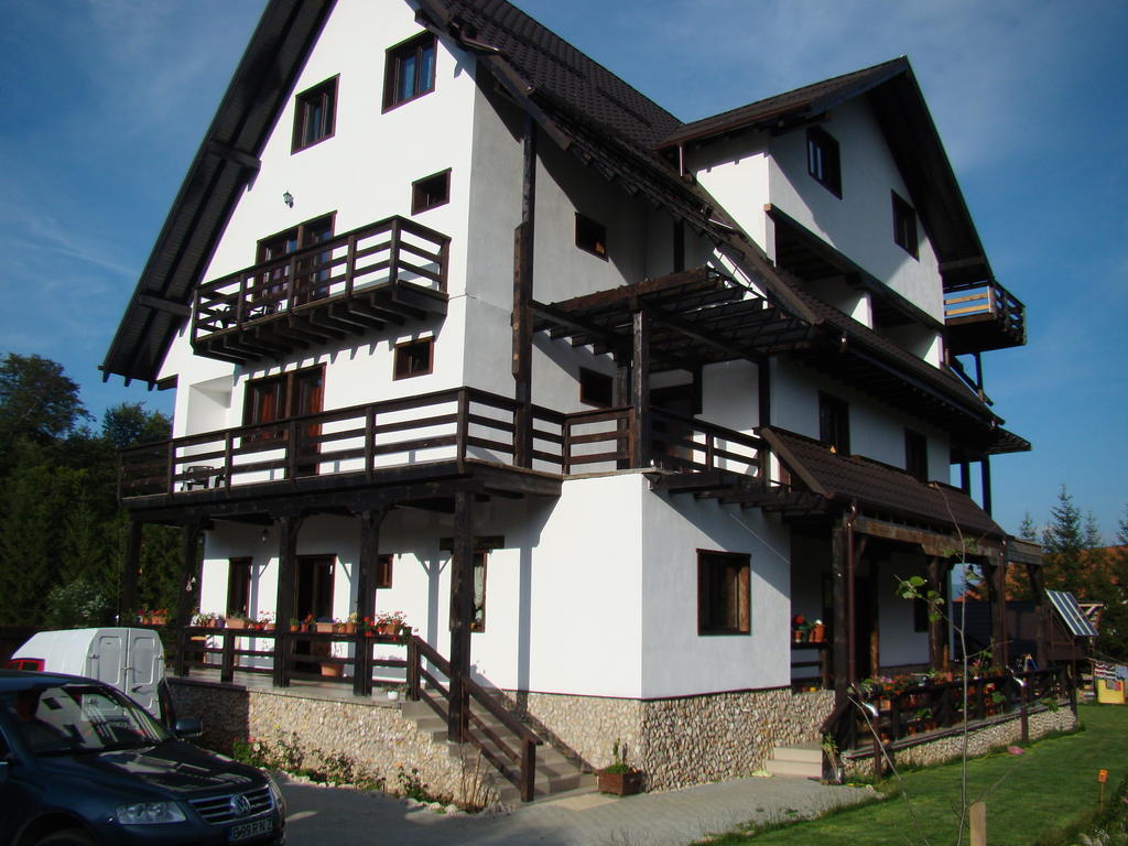 Dumbrava Soarelui Hotel Braşov Buitenkant foto