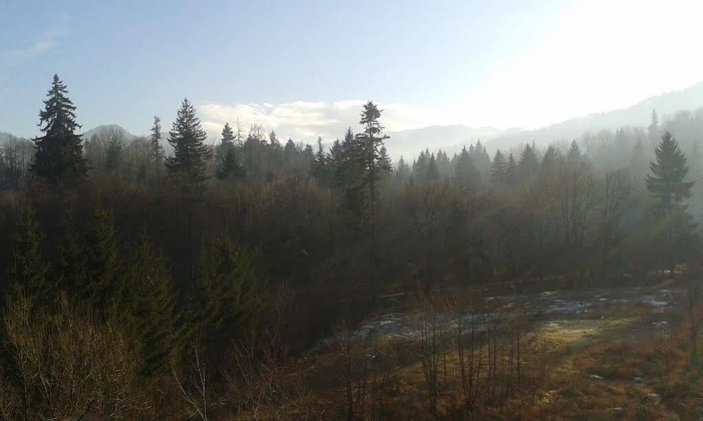 Dumbrava Soarelui Hotel Braşov Buitenkant foto